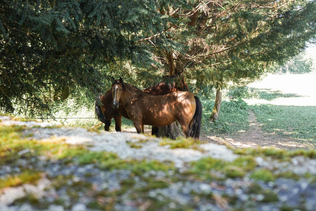 La Mouline Otel Labastide-du-Vert Dış mekan fotoğraf